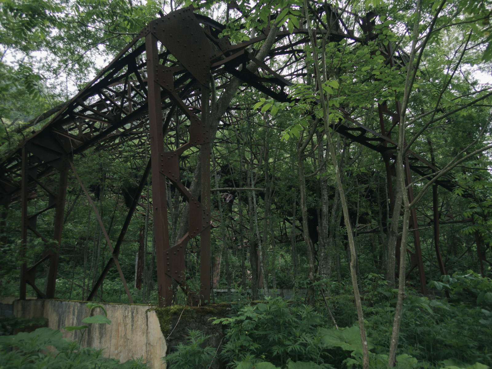 緑の森に囲まれた鉄骨の骨組みだけが残る廃墟の建物