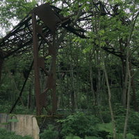 森に囲まれた鉄骨の骨組みのみが残る廃墟の構造物の写真