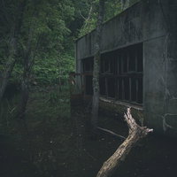 森に佇むひび割れたコンクリート造りの廃墟の写真