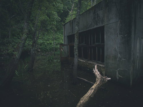 森に佇むひび割れたコンクリート造りの廃墟