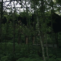 森に飲み込まれた鉄骨のみの廃墟跡と朽ちた建造物の写真