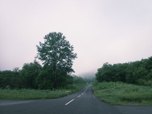 森の中へ続く緑に囲まれた車道