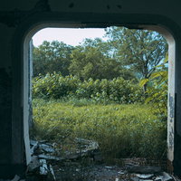 廃墟から見た茂みと樹林 窓枠を通した自然風景の写真