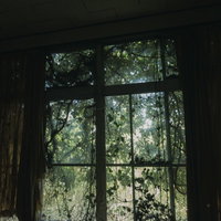 ボロボロのカーテンと廃屋の窓から見える緑の森の写真