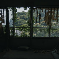 朽ちた建物の室内にあるボロボロのカーテンとボロボロの窓の写真