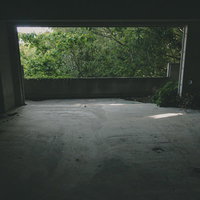 誰もいない廃屋の室内、窓から見える自然光と緑の写真