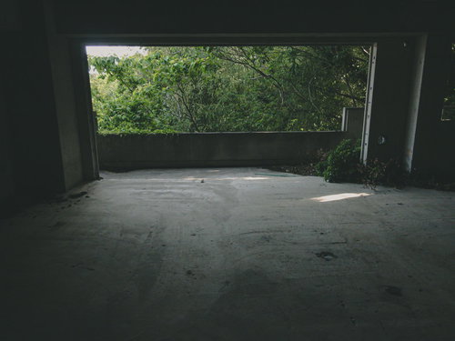 誰もいない廃屋の室内、窓から見える自然光と緑