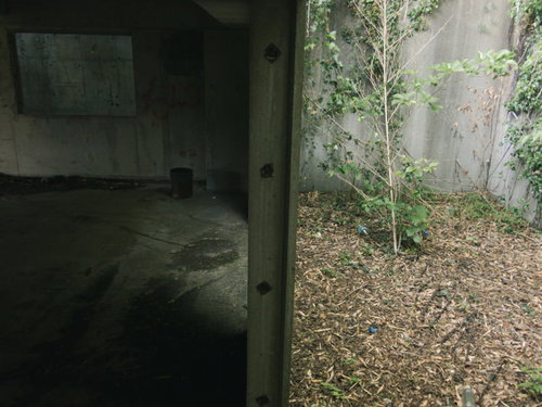 鉄筋コンクリートの壁に描かれたカラフルな落書き