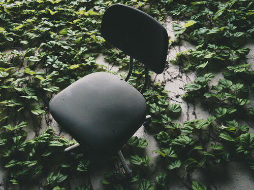 蔦に埋め尽くされた床に放置された黒い椅子