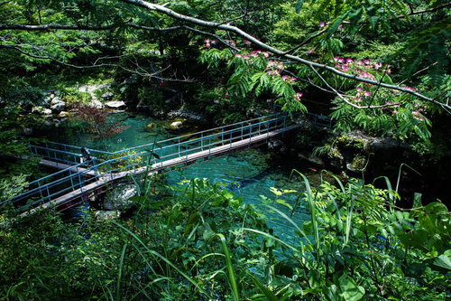 白竜湖に架かる木製手すりの歩道橋とエメラルドグリーンの湖面