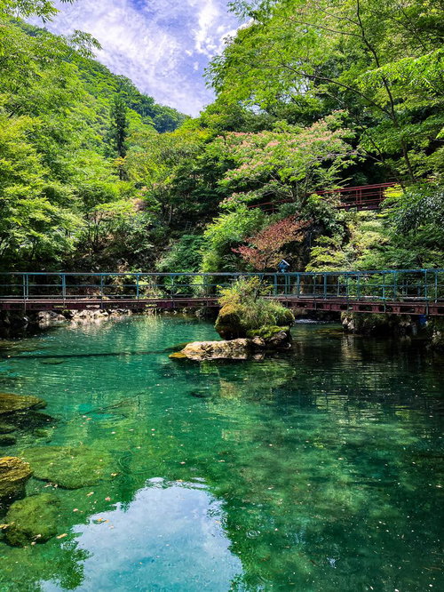 エメラルドグリーンの透明な水面と木製橋が架かる白竜湖の一角