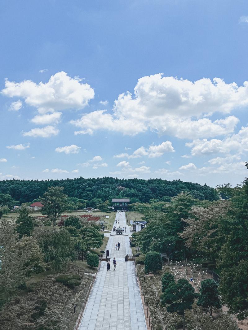 View from above of the stone-paved path winding through the verdant mountain landscape