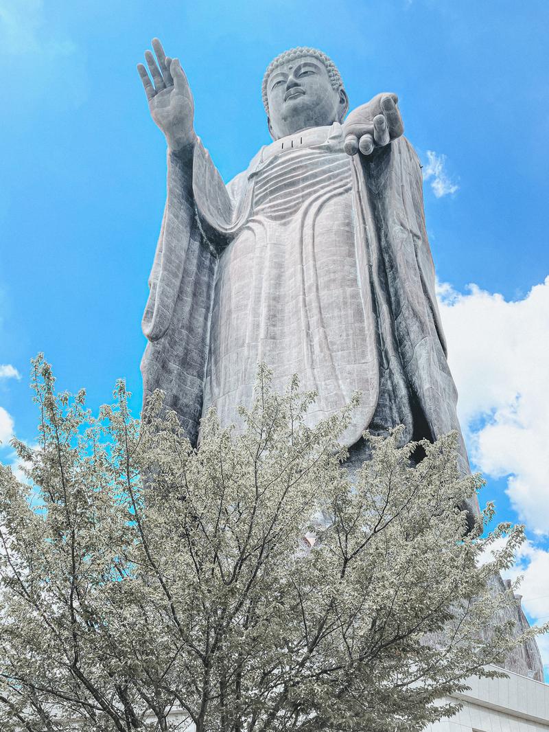 A full view of the Great Buddha of Ushiku standing against the blue sky and white clouds, with the surrounding trees.