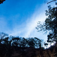 龍宮窟から見上げた青空と木々のシルエットの写真