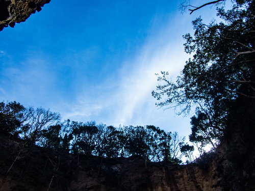 龍宮窟から見上げた青空と木々のシルエット