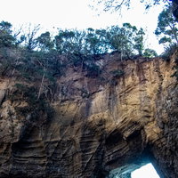 下田市・龍宮窟の水面に口を開ける洞窟と岩肌の写真