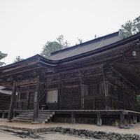 高野山の古木が立ち並ぶ境内のお堂と木造建築の写真