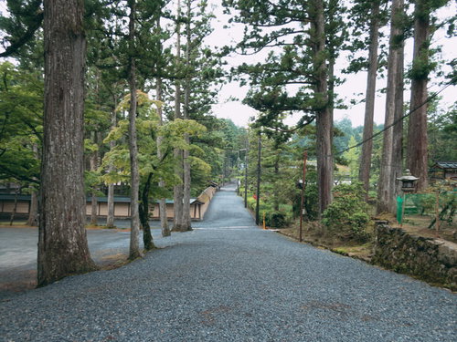 高野山の杉並木に囲まれた石畳の参道を歩む参拝者