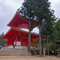 高野山の境内に建つ朱色の木造塔の写真
