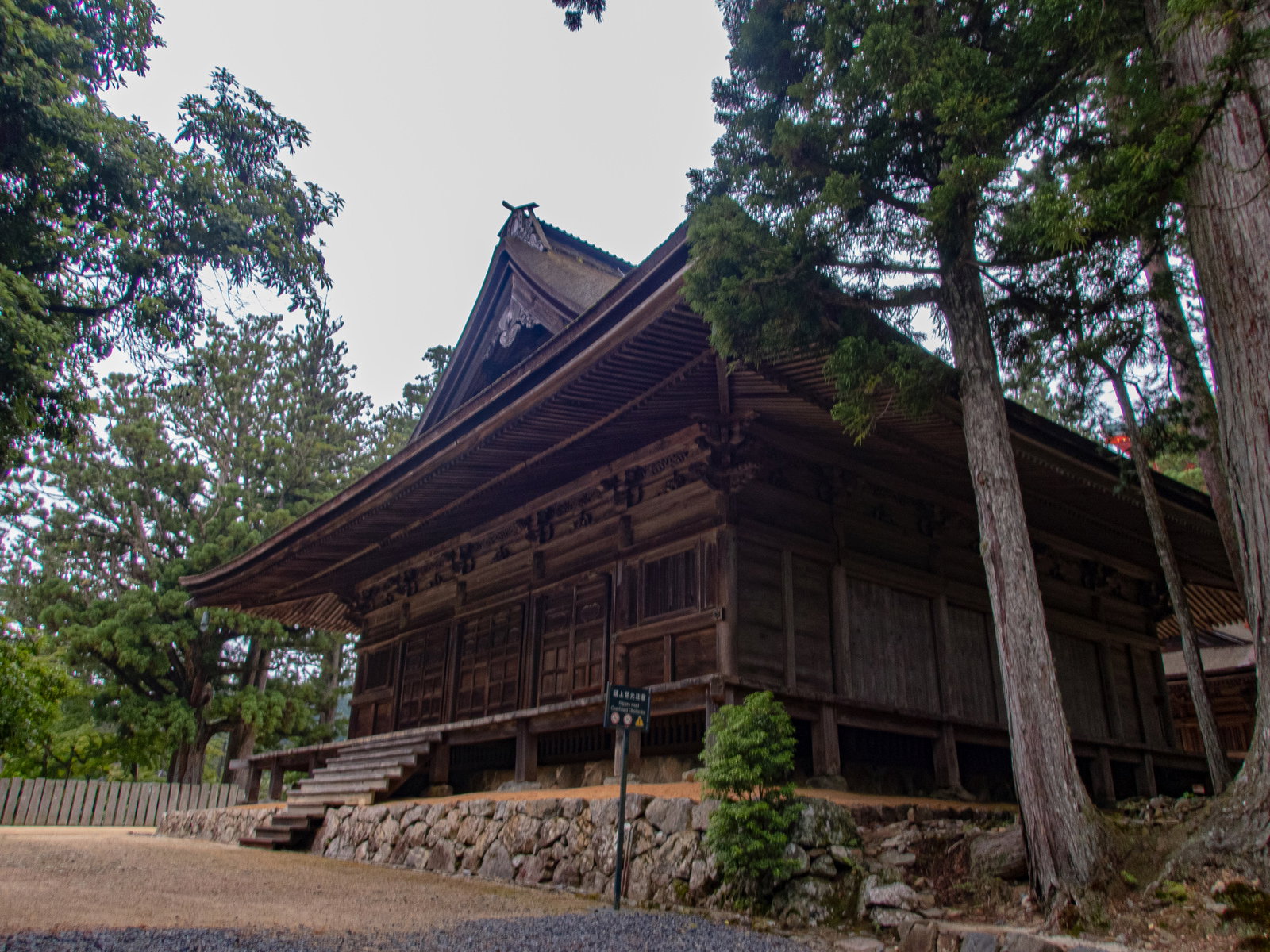 高野山の杉林に囲まれた黒い屋根のお堂を下から見上げた様子