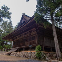 見上げる高野山のお堂の境内、杉林に囲まれた歴史的寺院建築の写真