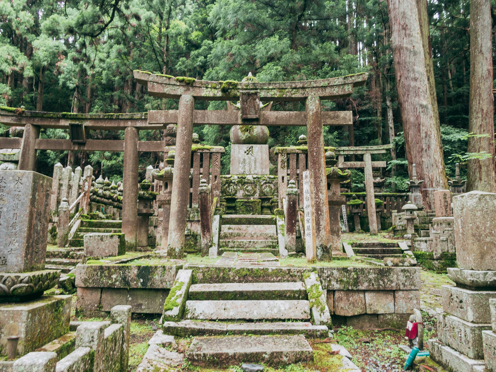 苔むした石段の先に立つ木製の鳥居と、その奥に点在する石塔や墓石がある高野山の境内風景