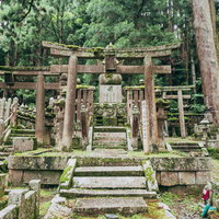 高野山の参道に立つ木製の鳥居と苔むした墓地の写真