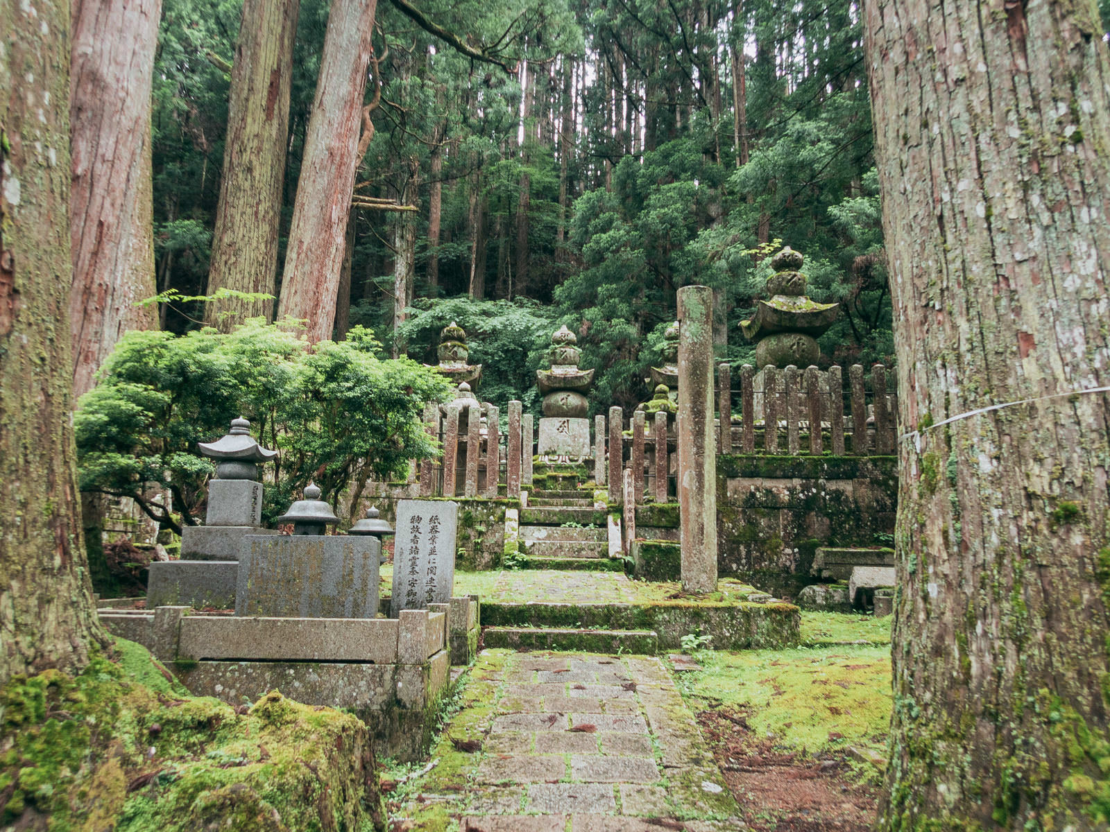 杉の巨木に囲まれた高野山金剛峯寺の墓所への石段参道