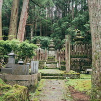 杉に囲まれた高野山金剛峯寺の墓所へ続く参道の写真