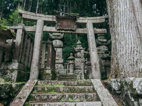 高野山奥の院の墓地に立ち並ぶ鳥居と石灯籠