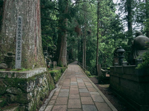 高野山の杉林に囲まれた石畳の参道を歩む参拝者
