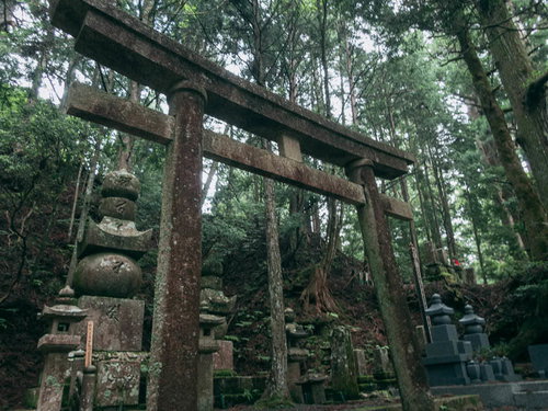 高野山金剛峯寺の見上げた鳥居と苔むした墓地の景観
