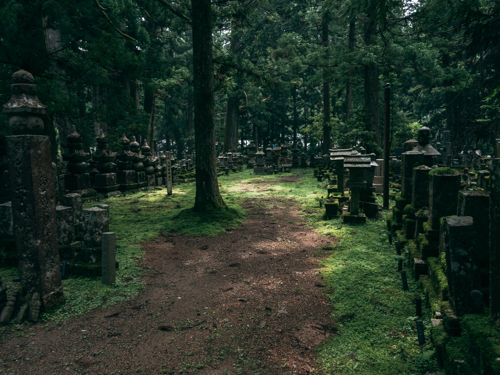 高野山の苔むした墓石と参道