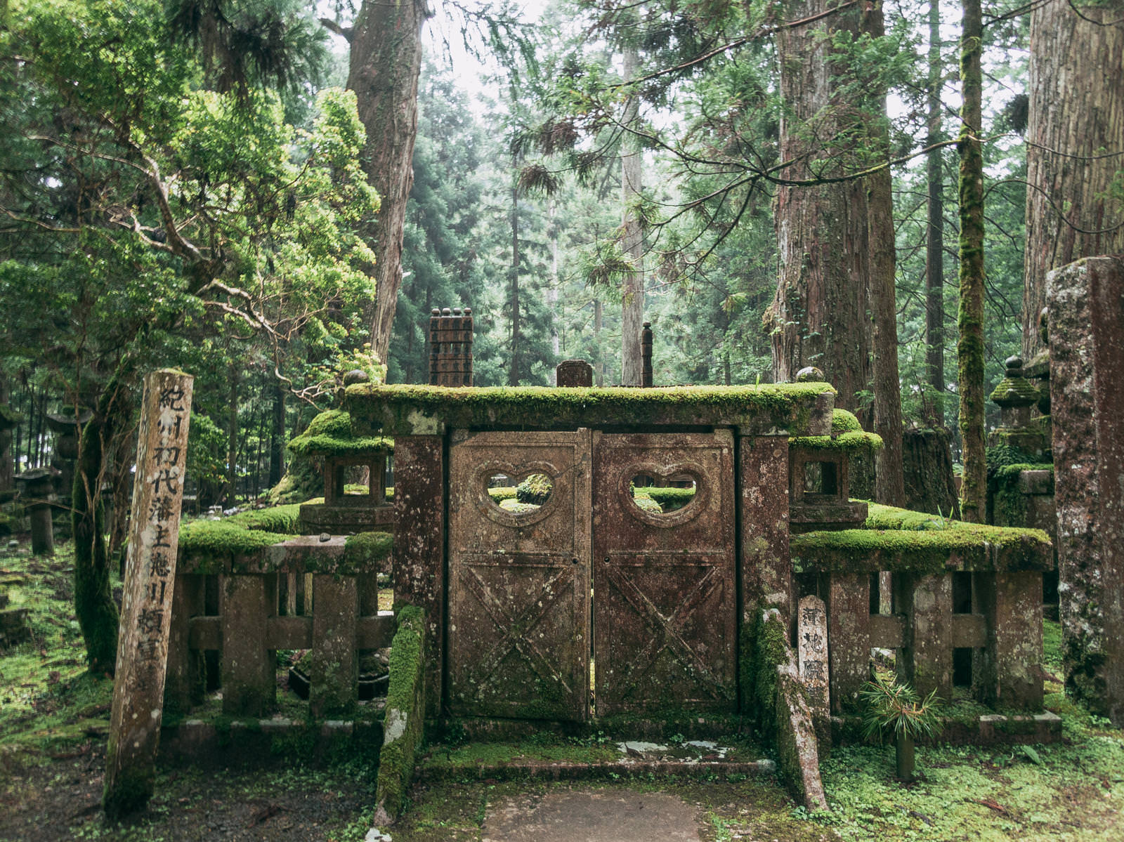 高野山の森林に囲まれた紀州初代藩主徳川頼宣の墓所の木製の門