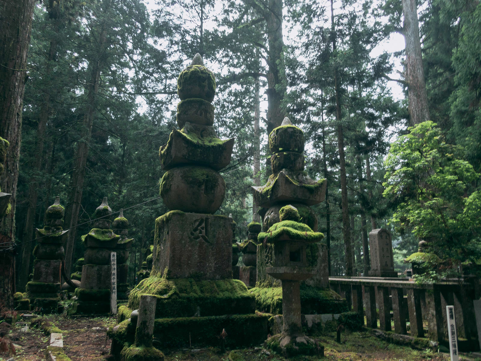 高野山の森林で木漏れ日に照らされた苔の生えた古い石塔