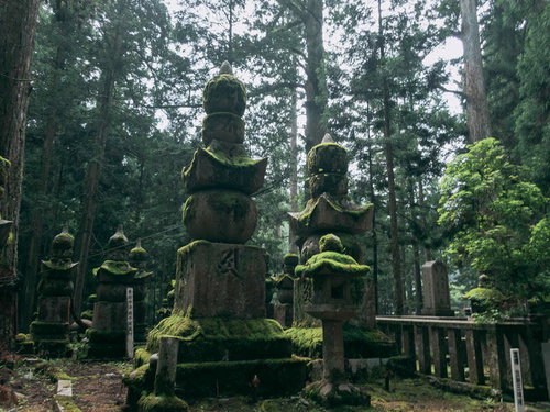 日に照らされた苔生す高野山の墓地の古い石塔