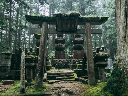 木々に囲まれた高野山の墓地の鳥居と奥の院
