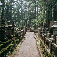 高野山の墓地通路、石畳に並ぶ古い墓石と参道の風景の写真