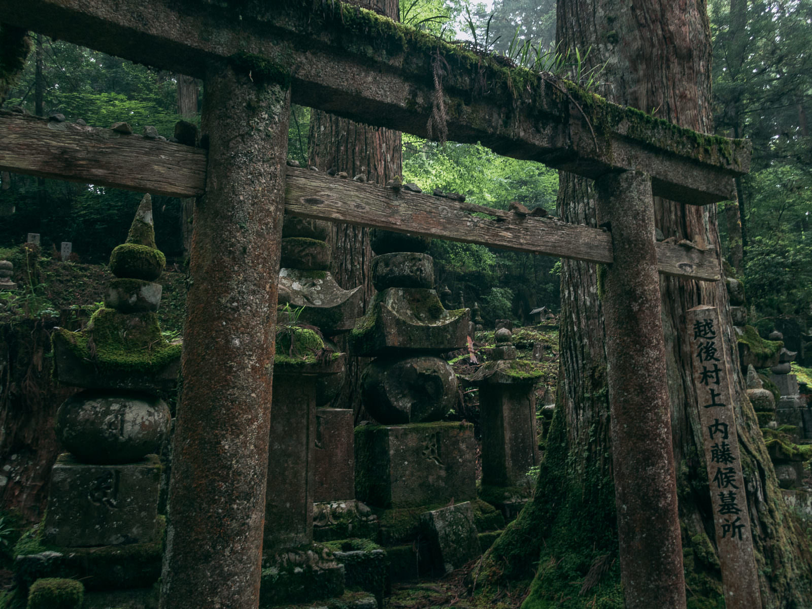 高野山の苔むした鳥居と古い墓地が立ち並ぶ境内