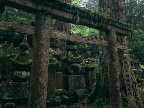 苔むした鳥居と古い墓地が立ち並ぶ高野山の境内