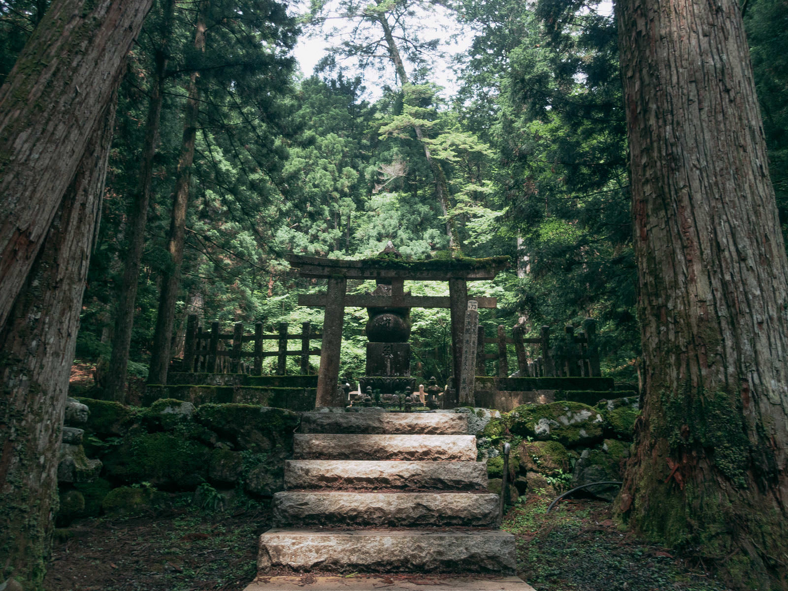 杉の大木に囲まれた石段を上った先にある崇源院墓所の鳥居