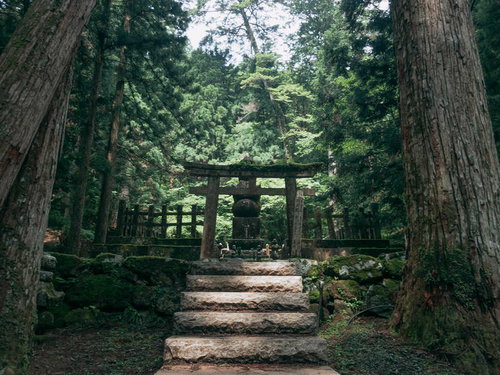 朝日差す高野山崇源院墓所の階段上に立つ鳥居