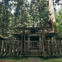 高野山の境内、朱色の鳥居の先に佇むお堂と墓地の風景の写真