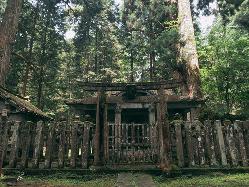 高野山の境内、朱色の鳥居の先に佇むお堂と墓地の風景