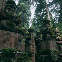 高野山金剛峯寺の松平家墓所前の杉林と苔むした石造物の写真