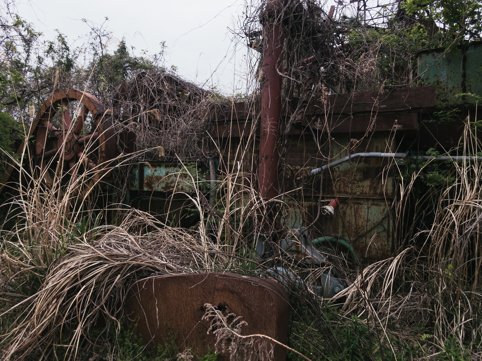 茂みや草木に覆われた朽ちた廃工場の荒廃した風景