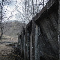 コンクリート壁が剥がれた廃工場と立ち枯れの木々の写真