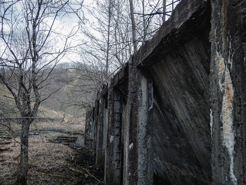 コンクリート壁が剥がれた廃工場と立ち枯れの木々