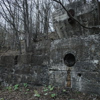 樹木に覆われた古いコンクリート擁壁と円形開口部の写真