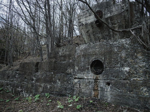 樹木に覆われた古いコンクリート擁壁と円形開口部